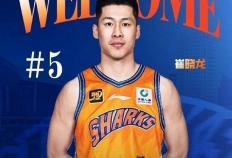 上海男篮宣布张镇麟加入：富豪战队新赛季能否再争冠？