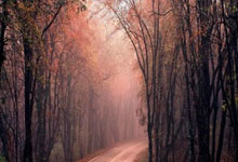 2025年中国门球冠军赛总决赛收官