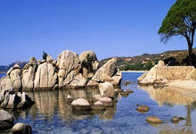 2025年中国门球冠军赛总决赛收官