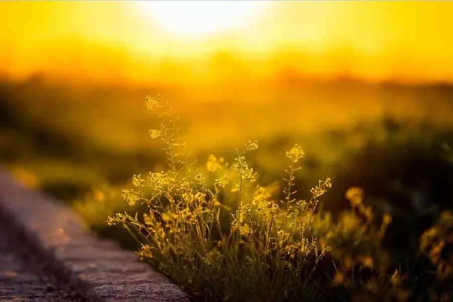 杭州亚运会场館(guǎn)向公众开放躰(tǐ)验